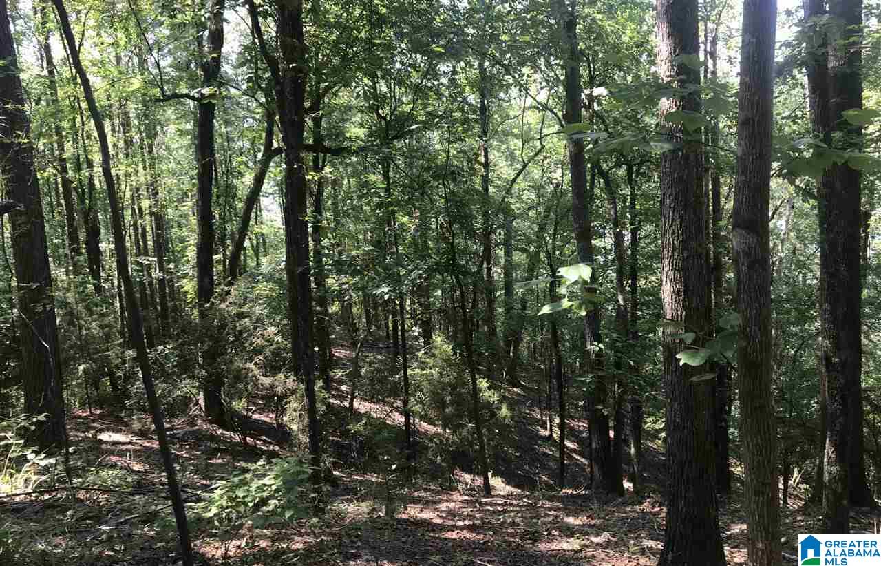 0 Sleepy Hollow Road, Unit 75 Rockford, AL 35136 - Photo 8 of 33