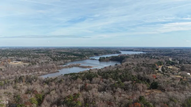a view of a tree in a yard