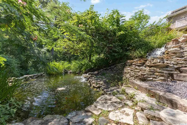 a view of a yard with plants and large trees