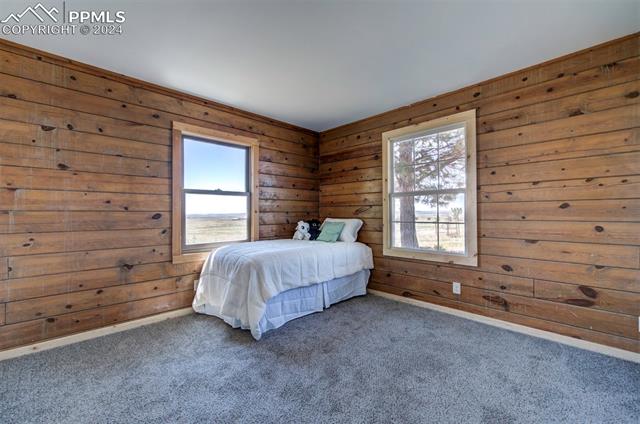 19350 Lemesany Road Calhan, CO 80808 - Photo 27 of 46 Bedroom with multiple windows, carpet floors, and wooden walls