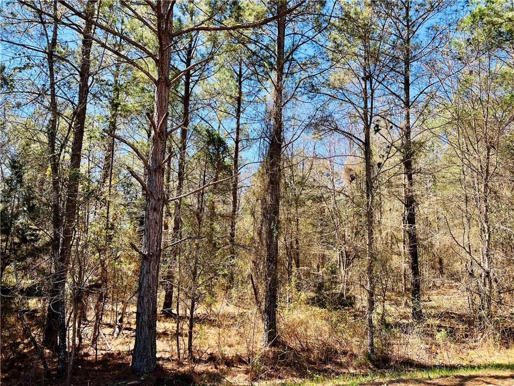 0 Camel Road Iva, SC 29655 - Photo 1 of 13 Gallery Image 1