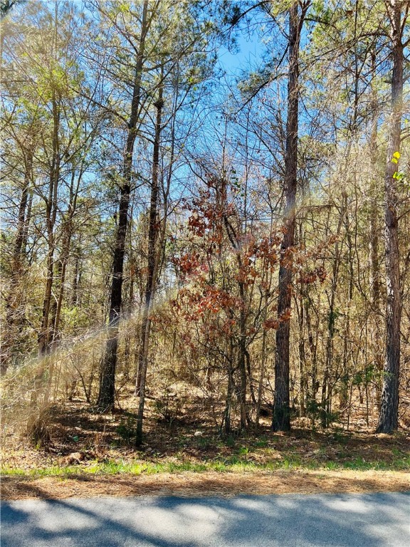 0 Camel Road Iva, SC 29655 - Photo 13 of 13 Gallery Image 13