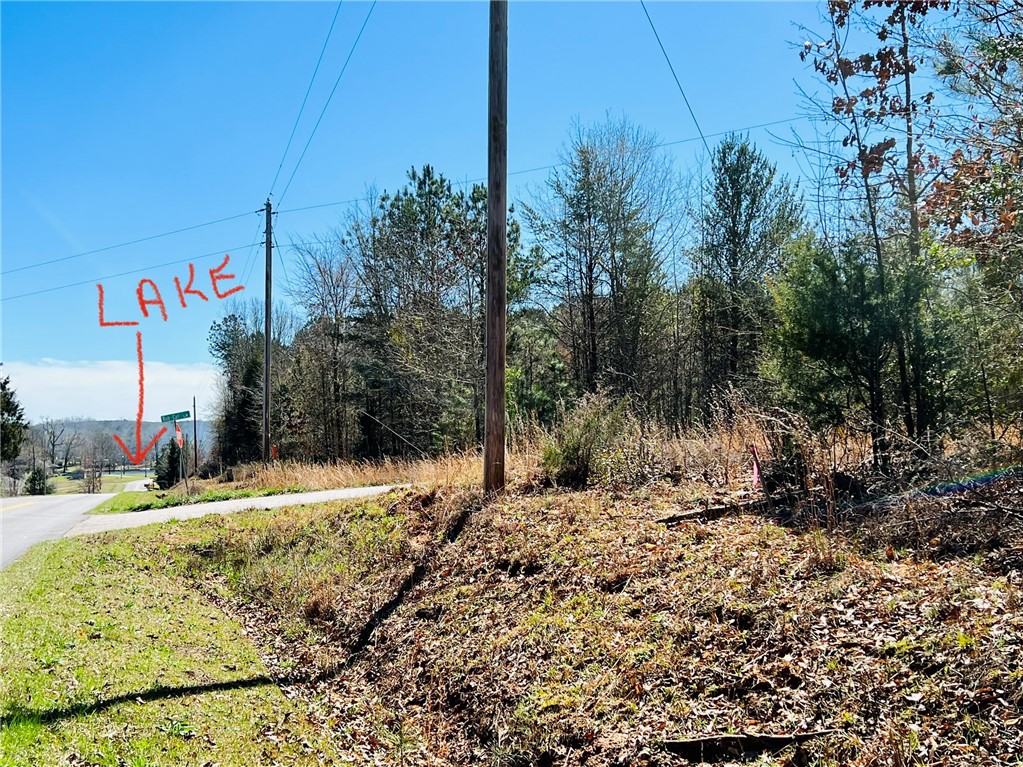 0 Camel Road Iva, SC 29655 - Photo 2 of 13 Gallery Image 2