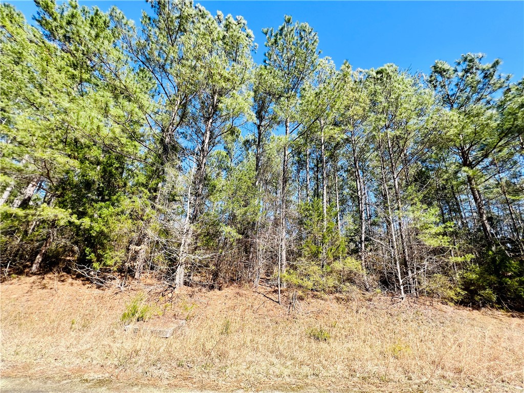 0 Camel Road Iva, SC 29655 - Photo 3 of 13 Gallery Image 3