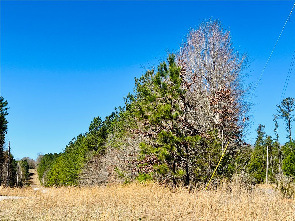 0 Camel Road Iva, SC 29655 - Photo 4 of 13 Gallery Image 4