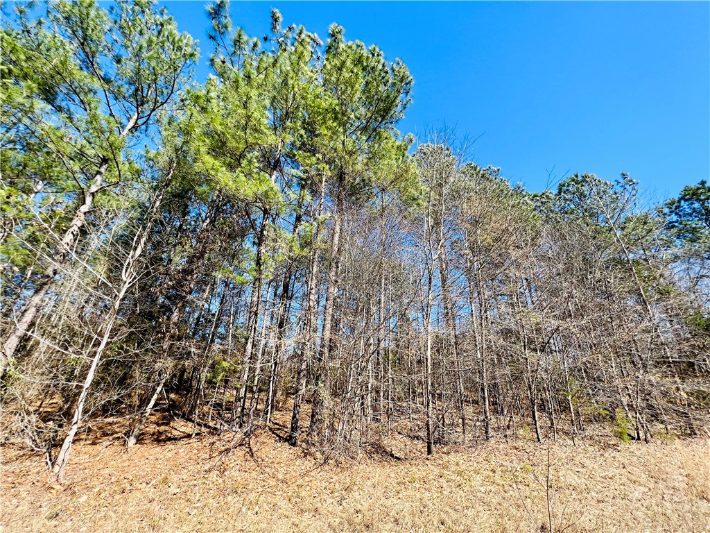 0 Camel Road Iva, SC 29655 - Photo 5 of 13 Gallery Image 5