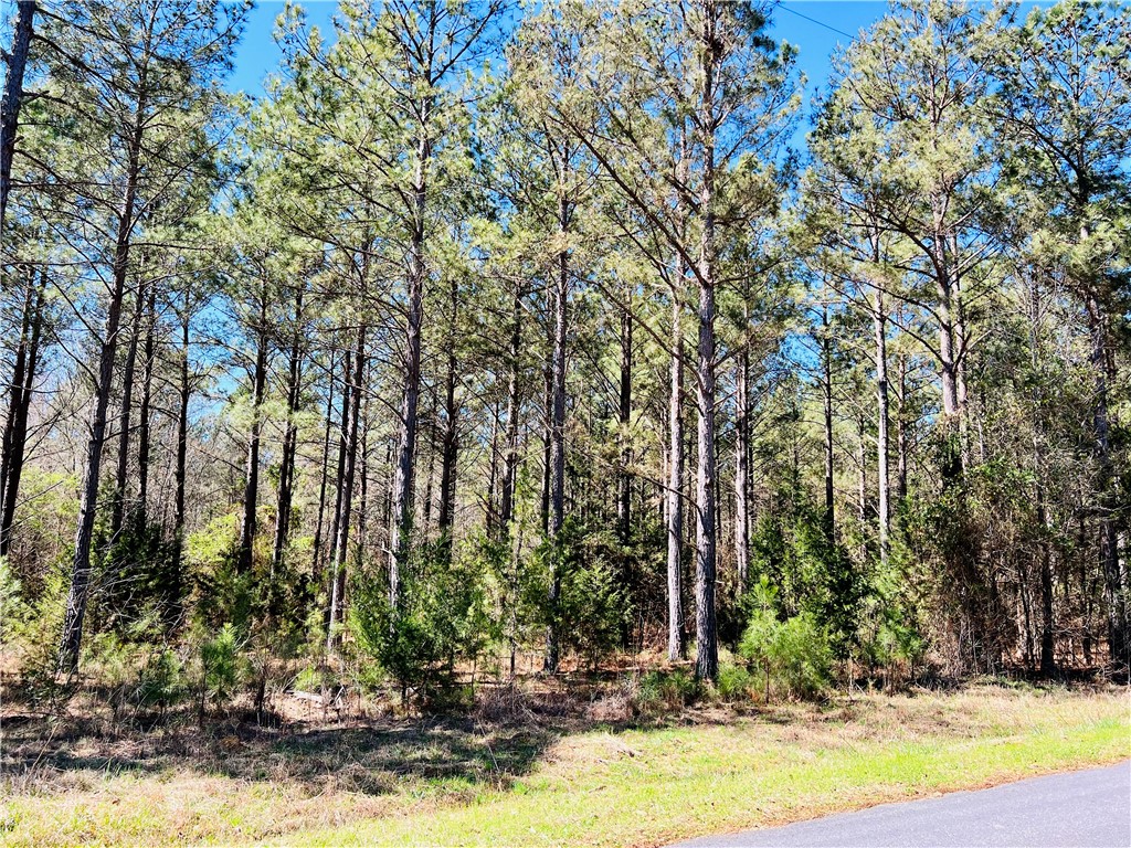 0 Camel Road Iva, SC 29655 - Photo 7 of 13 Gallery Image 7