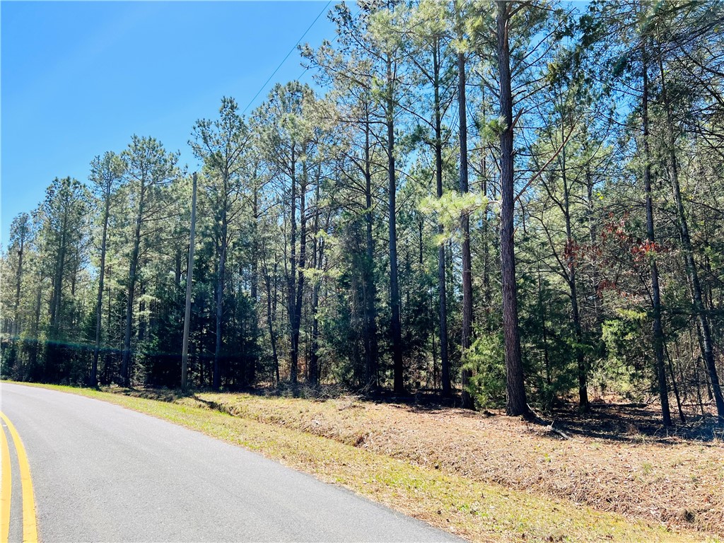 0 Camel Road Iva, SC 29655 - Photo 8 of 13 Gallery Image 8