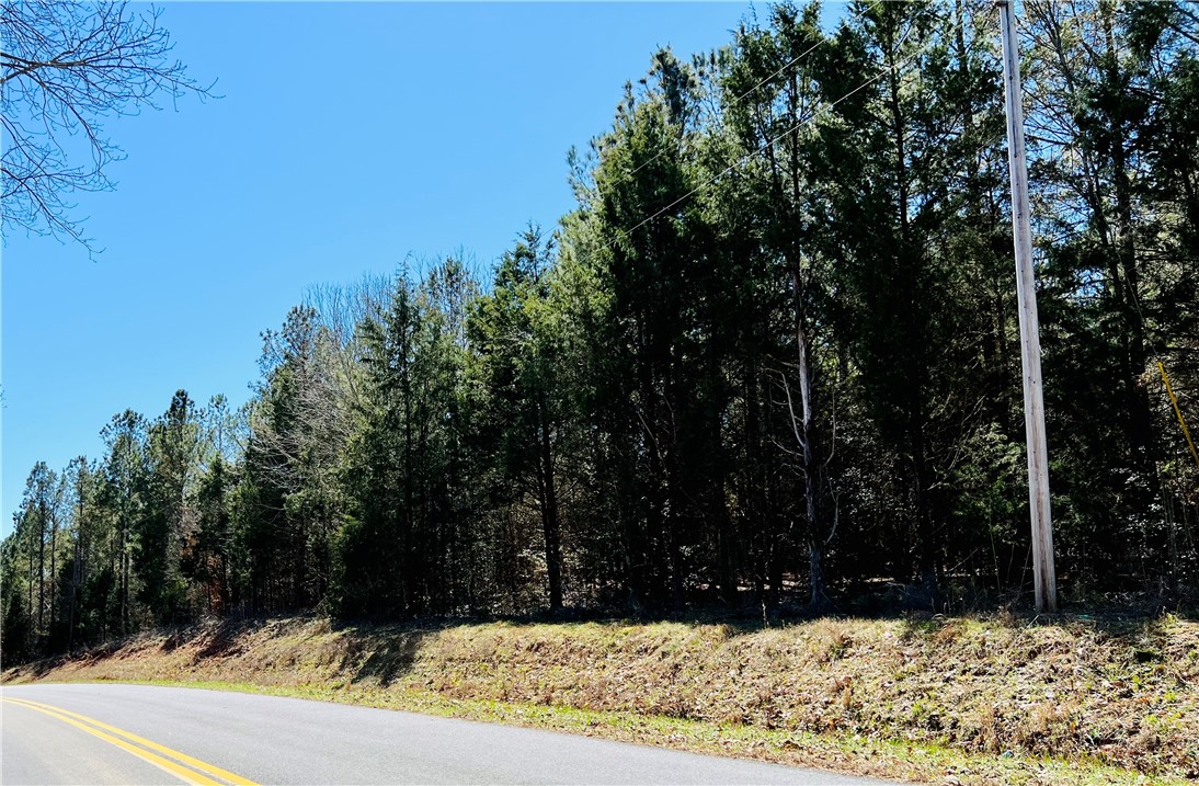 0 Camel Road Iva, SC 29655 - Photo 10 of 13 Gallery Image 10