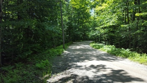 -l:2 Old Chesterfield Road Chesterfield, MA 01012 - Photo 2 of 6 Gallery Image 2