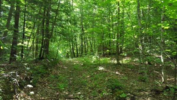 -l:2 Old Chesterfield Road Chesterfield, MA 01012 - Photo 5 of 6 Gallery Image 5