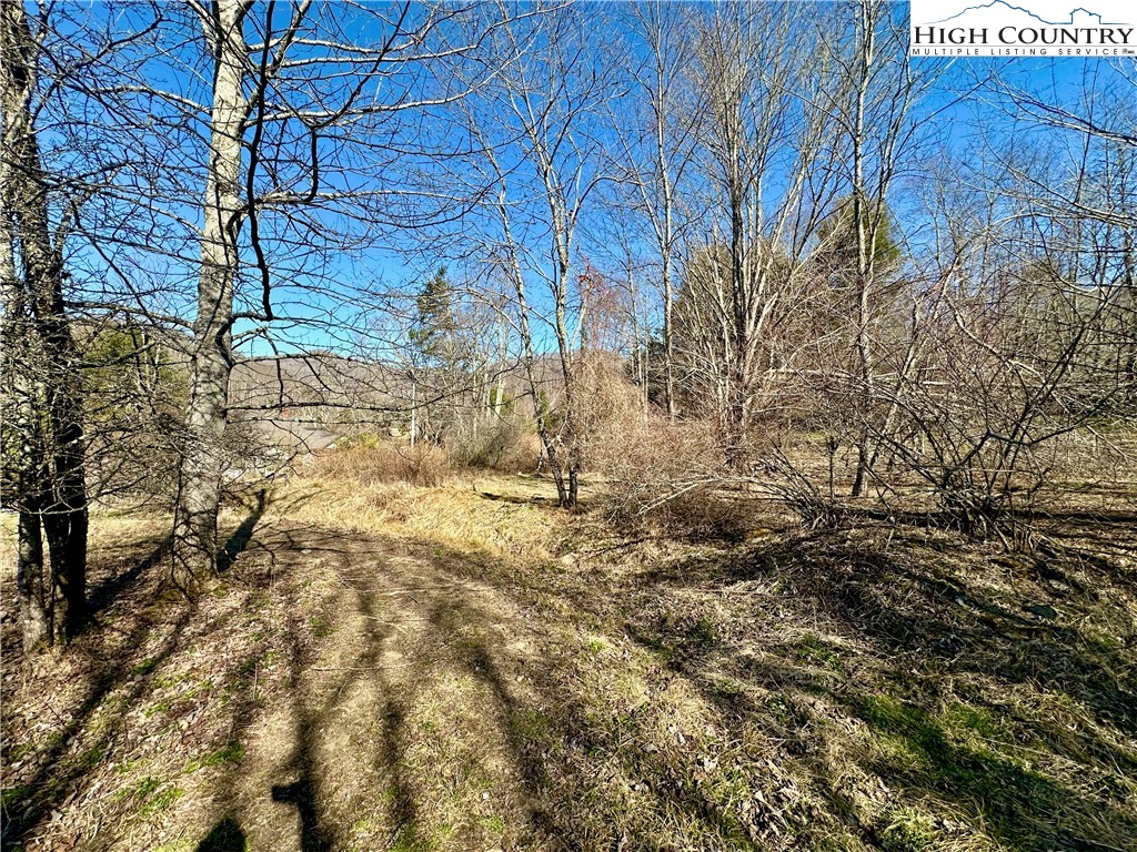 151 Church Hollow Road Boone, NC 28607 - Photo 11 of 17 Gallery Image 11