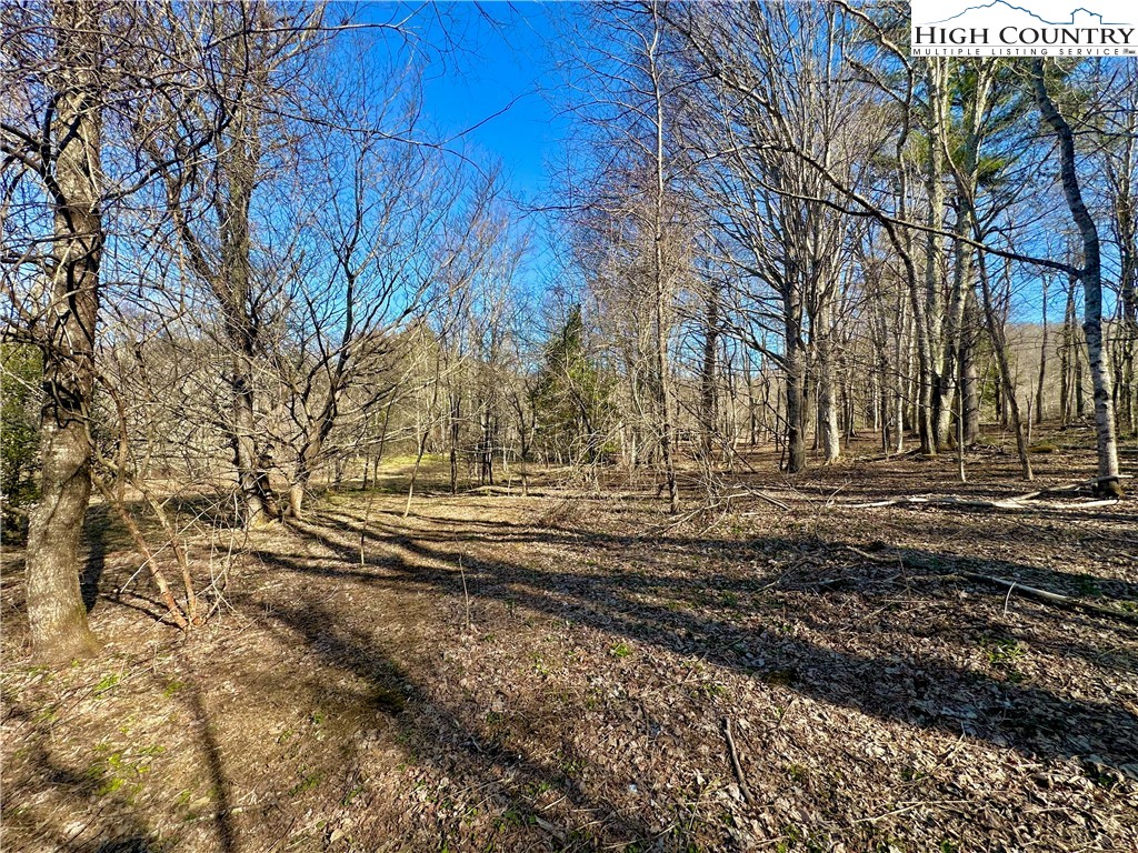 151 Church Hollow Road Boone, NC 28607 - Photo 12 of 17 Gallery Image 12