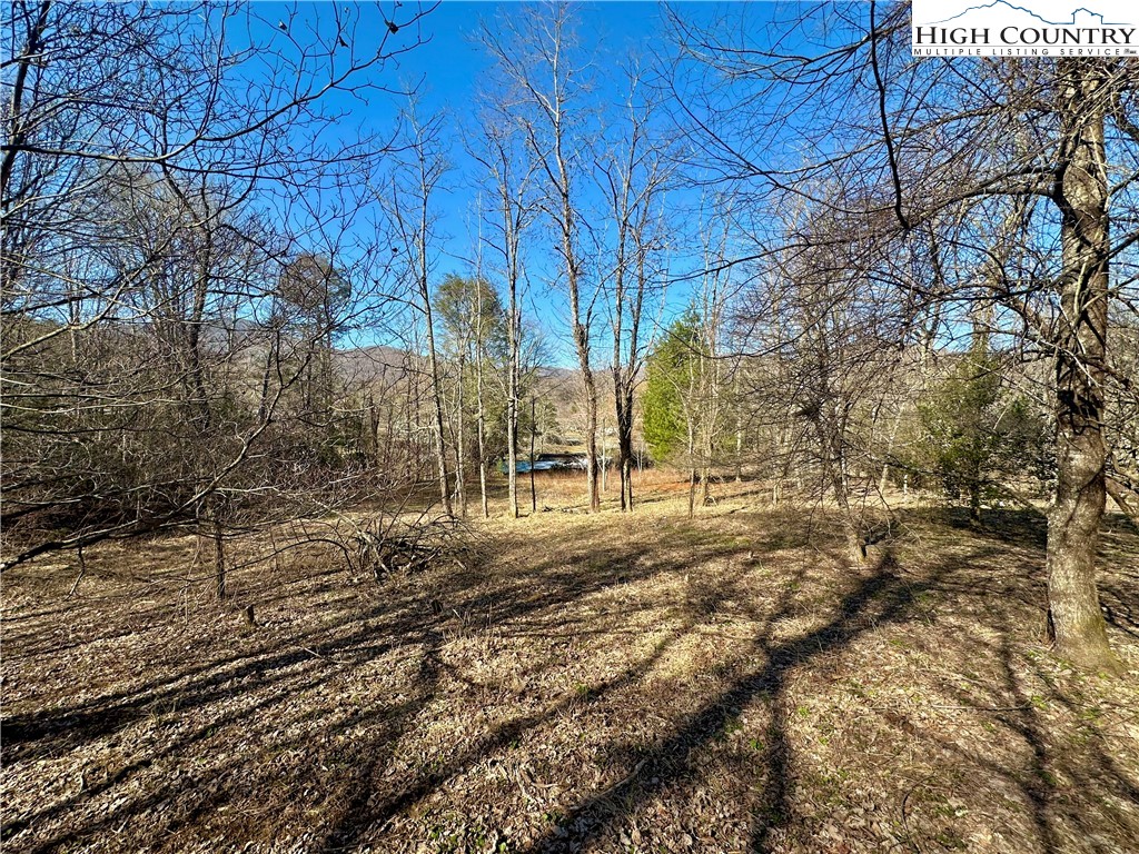 151 Church Hollow Road Boone, NC 28607 - Photo 13 of 17 Gallery Image 13
