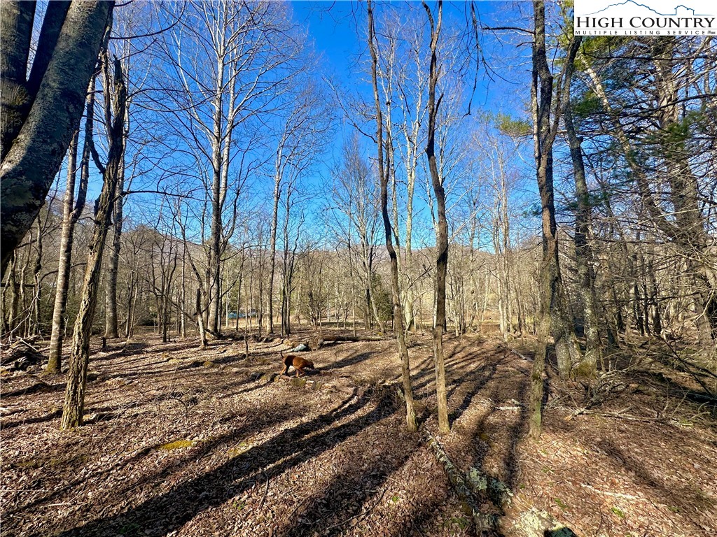 151 Church Hollow Road Boone, NC 28607 - Photo 14 of 17 Gallery Image 14