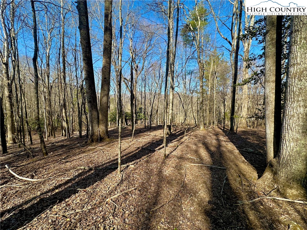 151 Church Hollow Road Boone, NC 28607 - Photo 15 of 17 Gallery Image 15