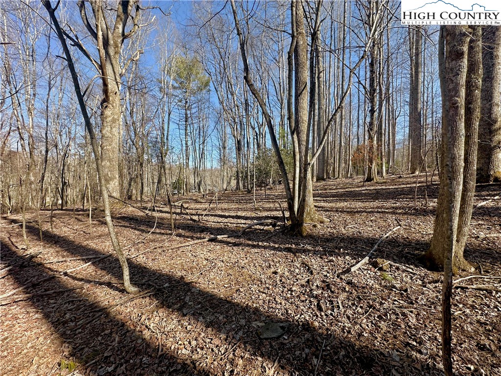 151 Church Hollow Road Boone, NC 28607 - Photo 16 of 17 Gallery Image 16