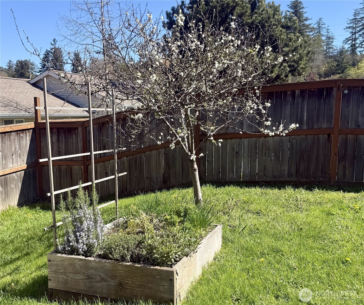65 Gerard Lane Friday Harbor, WA 98250 - Photo 21 of 21 a view of garden with wooden fence