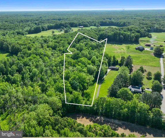 a view of a garden with a houses in the background