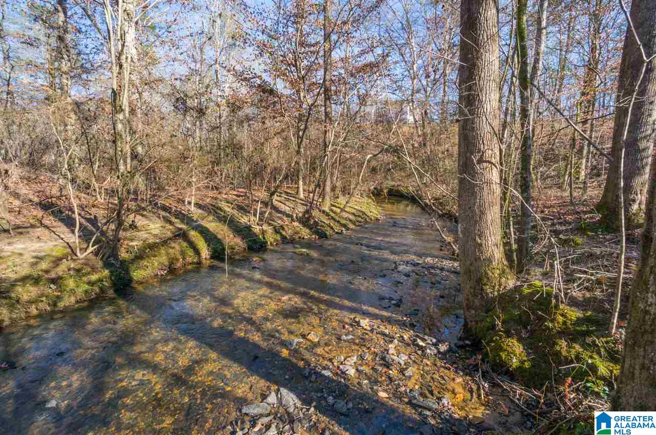 8300 Highway 145 Clanton, AL 35046 - Photo 43 of 46