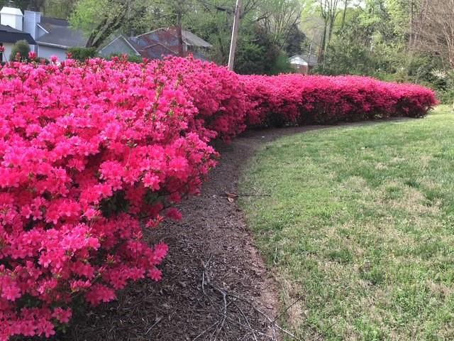 600 Densley Drive Decatur, GA 30033 - Photo 38 of 39
