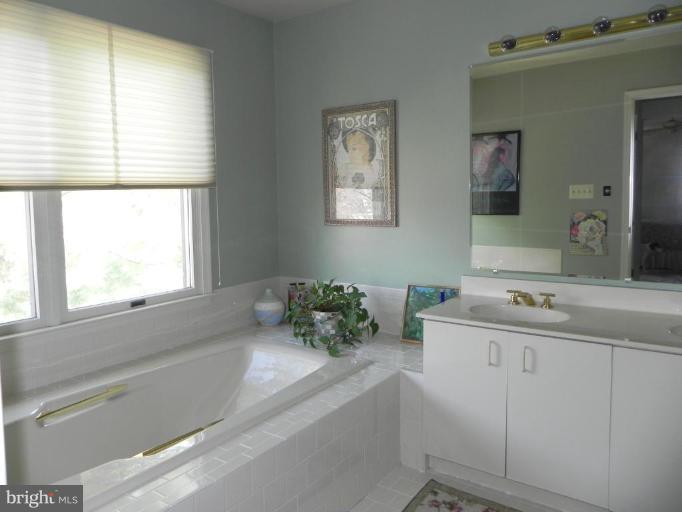 6927 Diana Road Baltimore, MD 21209 - Photo 16 of 26 Master Bath