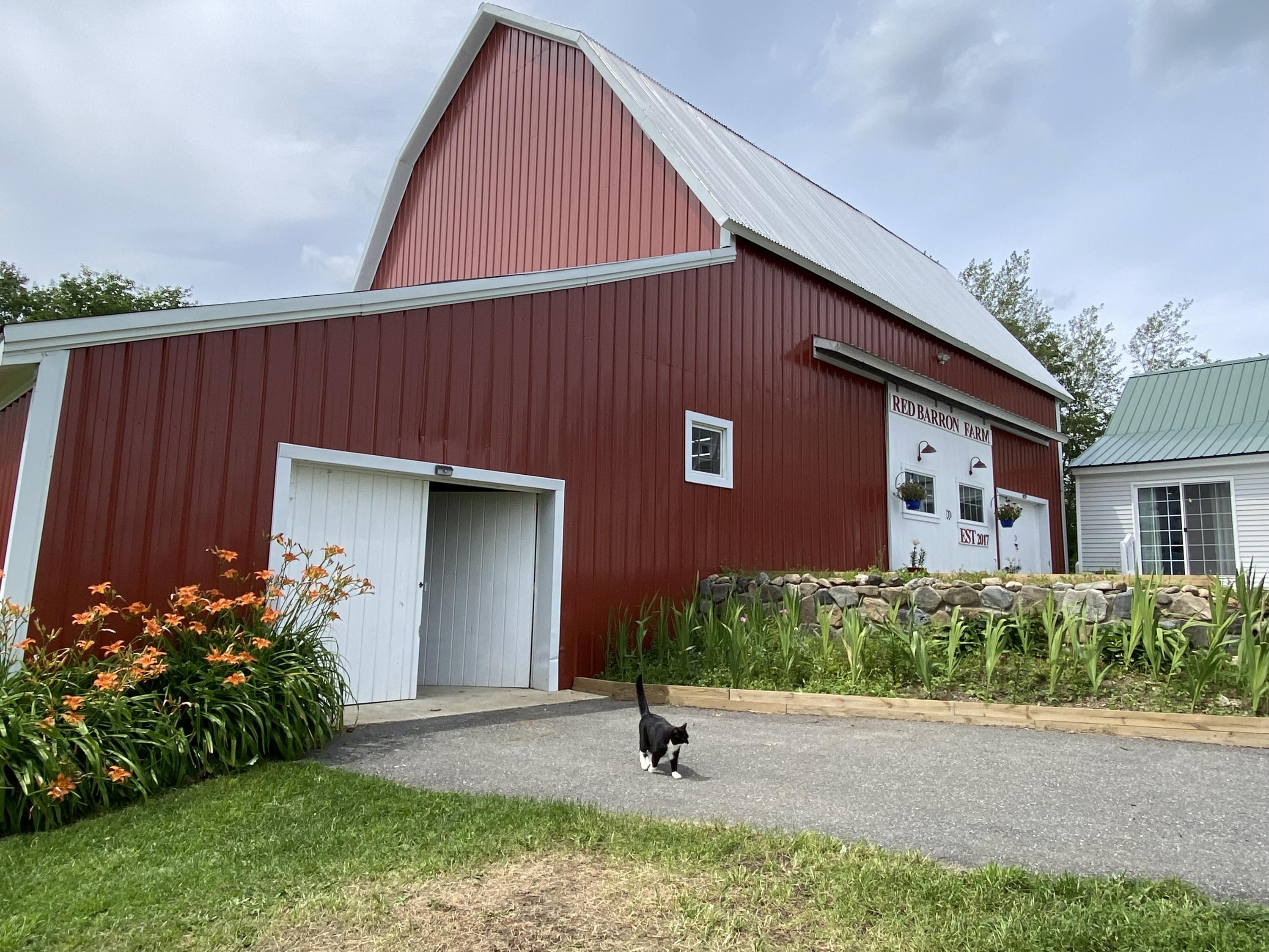 318 Turner Road Mapleton, ME 04757 - Photo 2 of 61 318 Turner Rd Castle Hill July 2021 (28)
