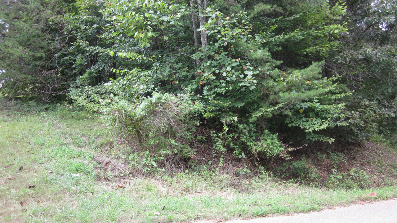 Round Hill Rd 003