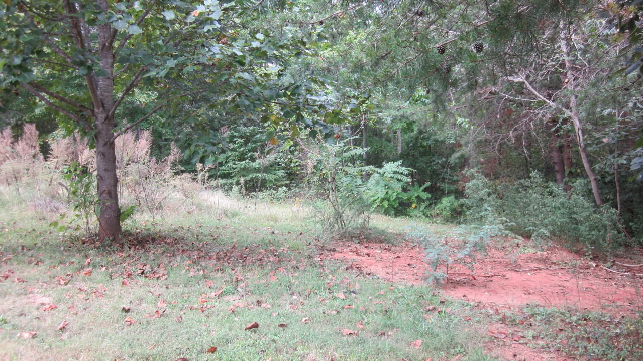 Round Hill Rd 001