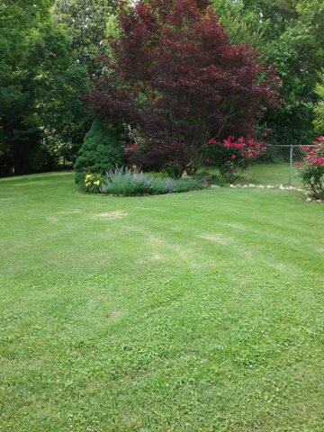 8911 Drake Parkway Road Chattanooga, TN 37416 - Photo 38 of 48 Backyard at its BEST