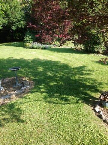 8911 Drake Parkway Road Chattanooga, TN 37416 - Photo 41 of 48 Backyard in season