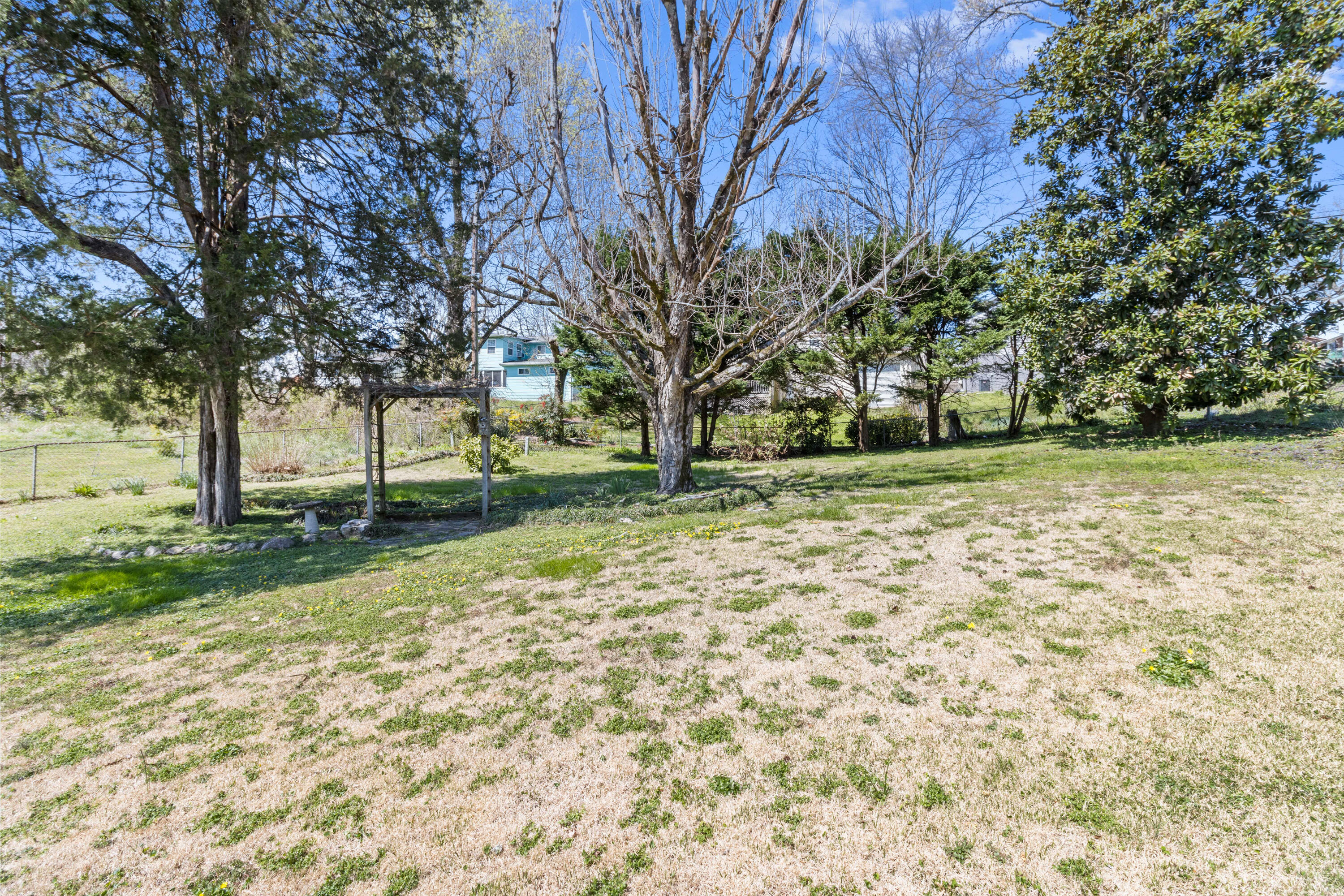 8911 Drake Parkway Road Chattanooga, TN 37416 - Photo 45 of 48 Large backyard - extra large potential