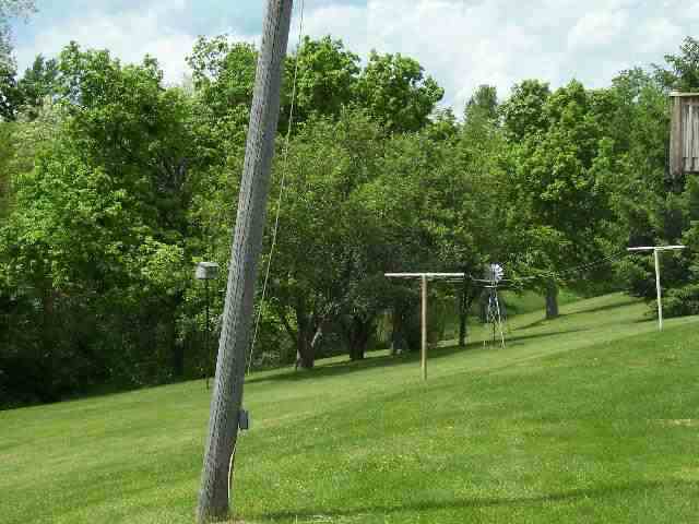 4374 South Derinda Road Elizabeth, IL 61028 - Photo 7 of 7 a backyard of a house with plants and large trees