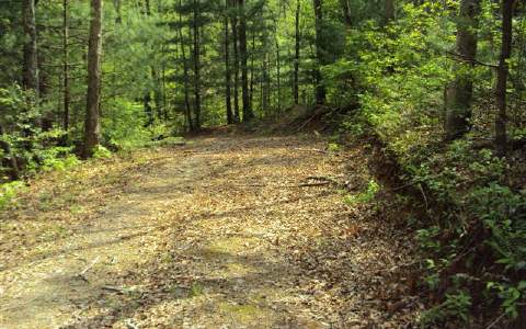 1350 Charles Laney Road Murphy, NC 28906 - Photo 1 of 1 Main View