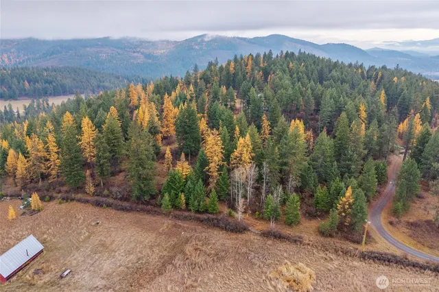 an aerial view of mountain with trees