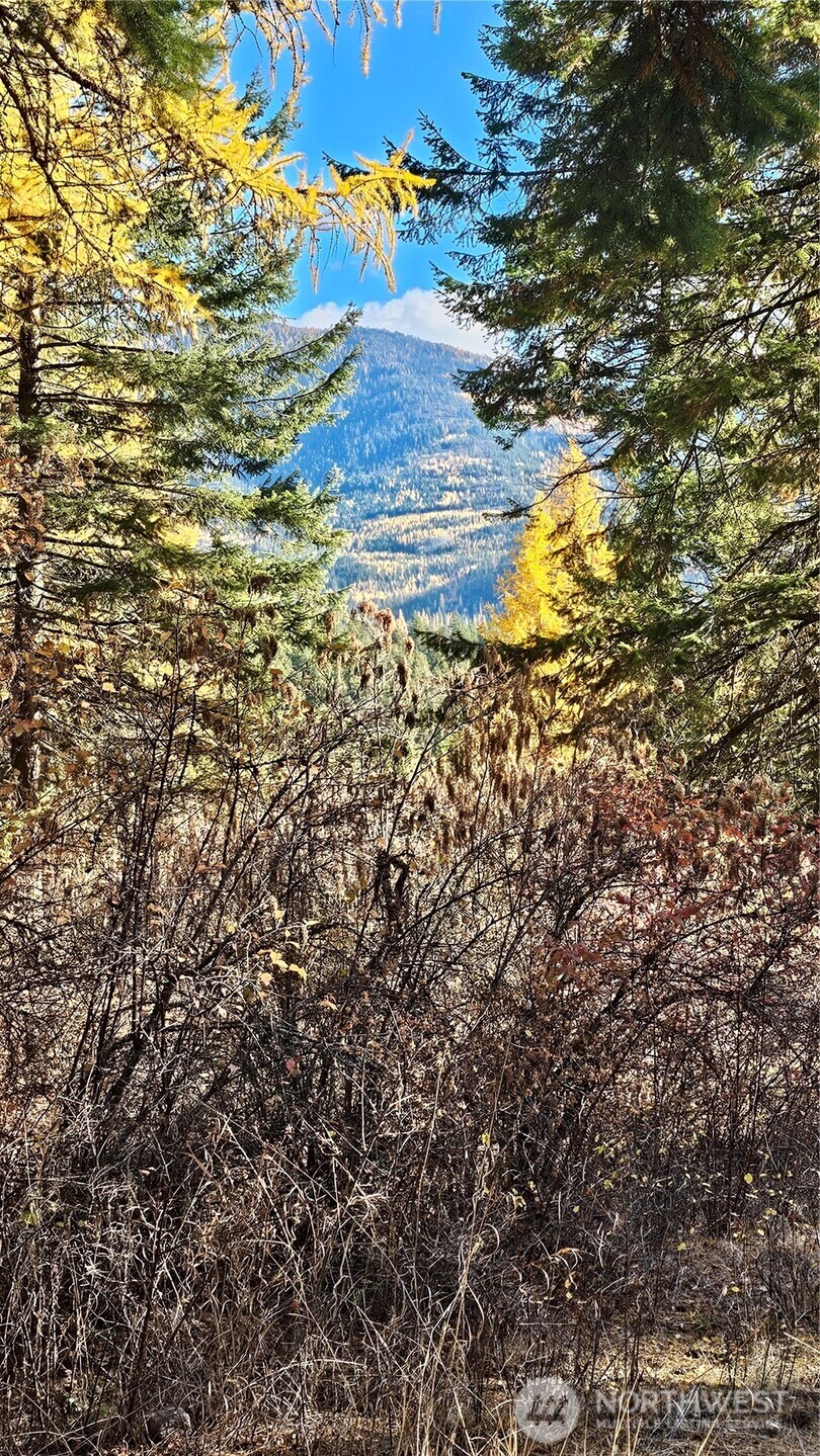700 L Dry Gulch Road Colville, WA 99114 - Photo 11 of 17 a view of water heater room