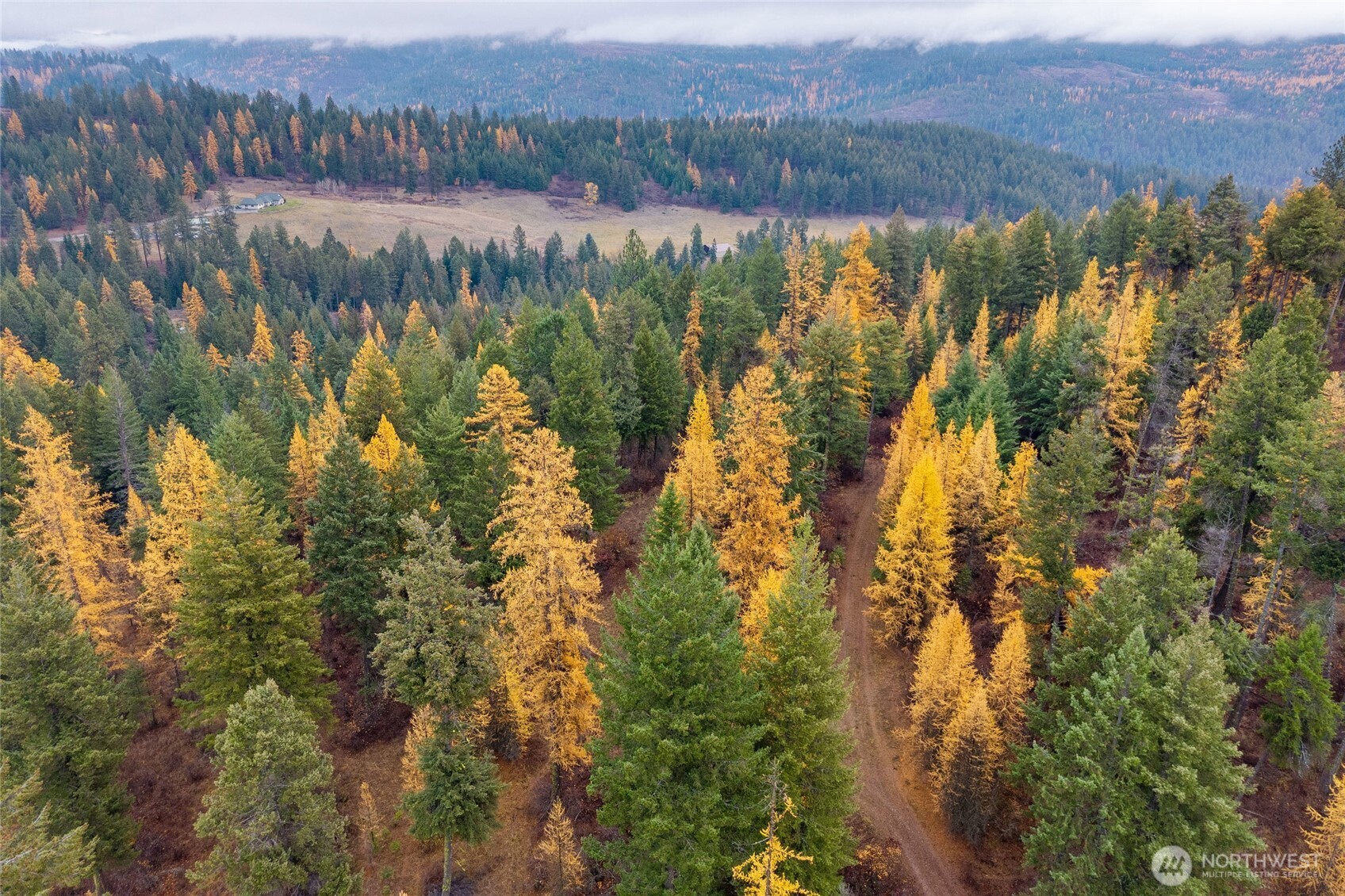 700 L Dry Gulch Road Colville, WA 99114 - Photo 15 of 17 a view of lake with mountain