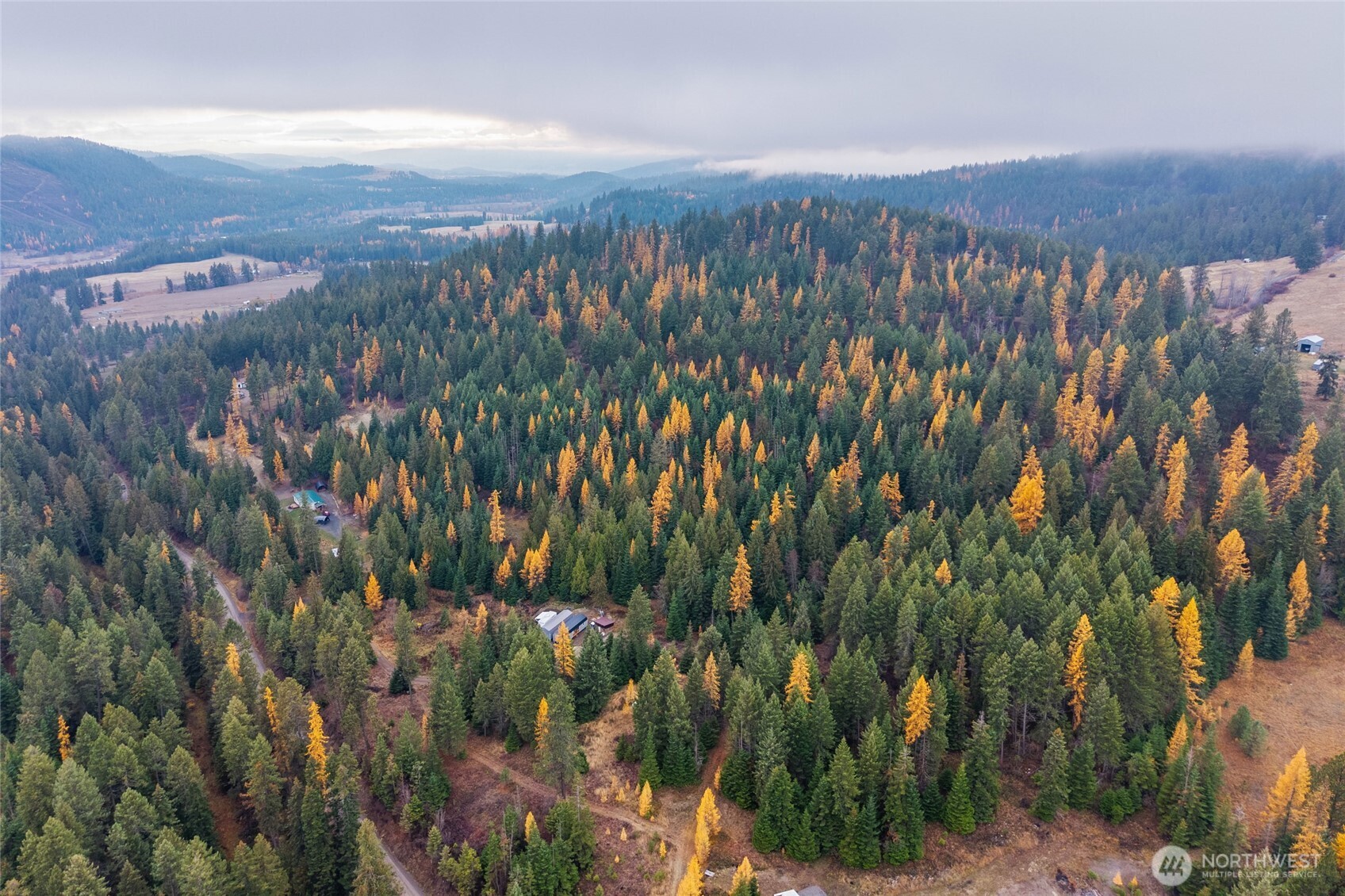 700 L Dry Gulch Road Colville, WA 99114 - Photo 16 of 17 a view of a city with lush green forest