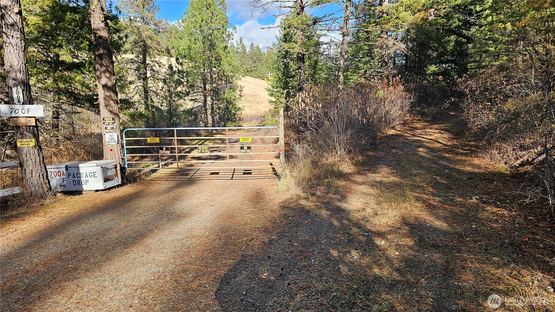 700 L Dry Gulch Road Colville, WA 99114 - Photo 2 of 17 a view of road with trees