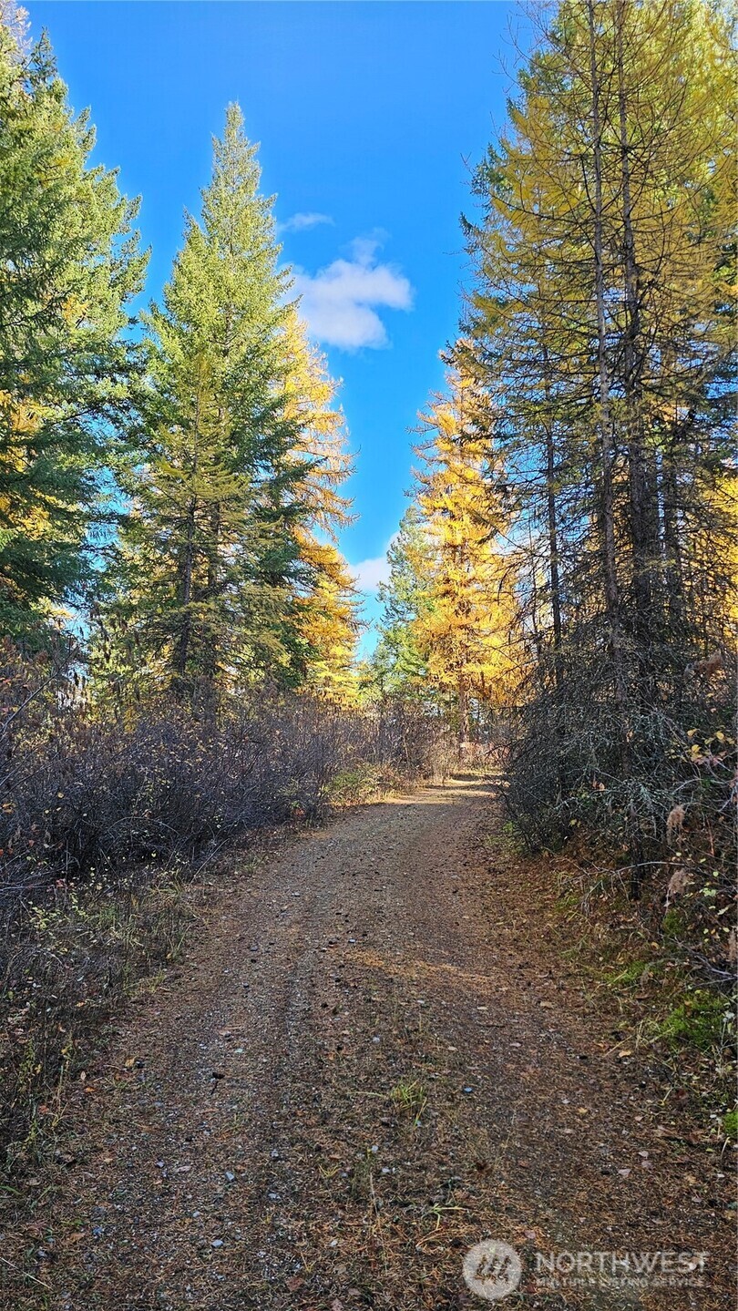 700 L Dry Gulch Road Colville, WA 99114 - Photo 4 of 17 a view of an outdoor space