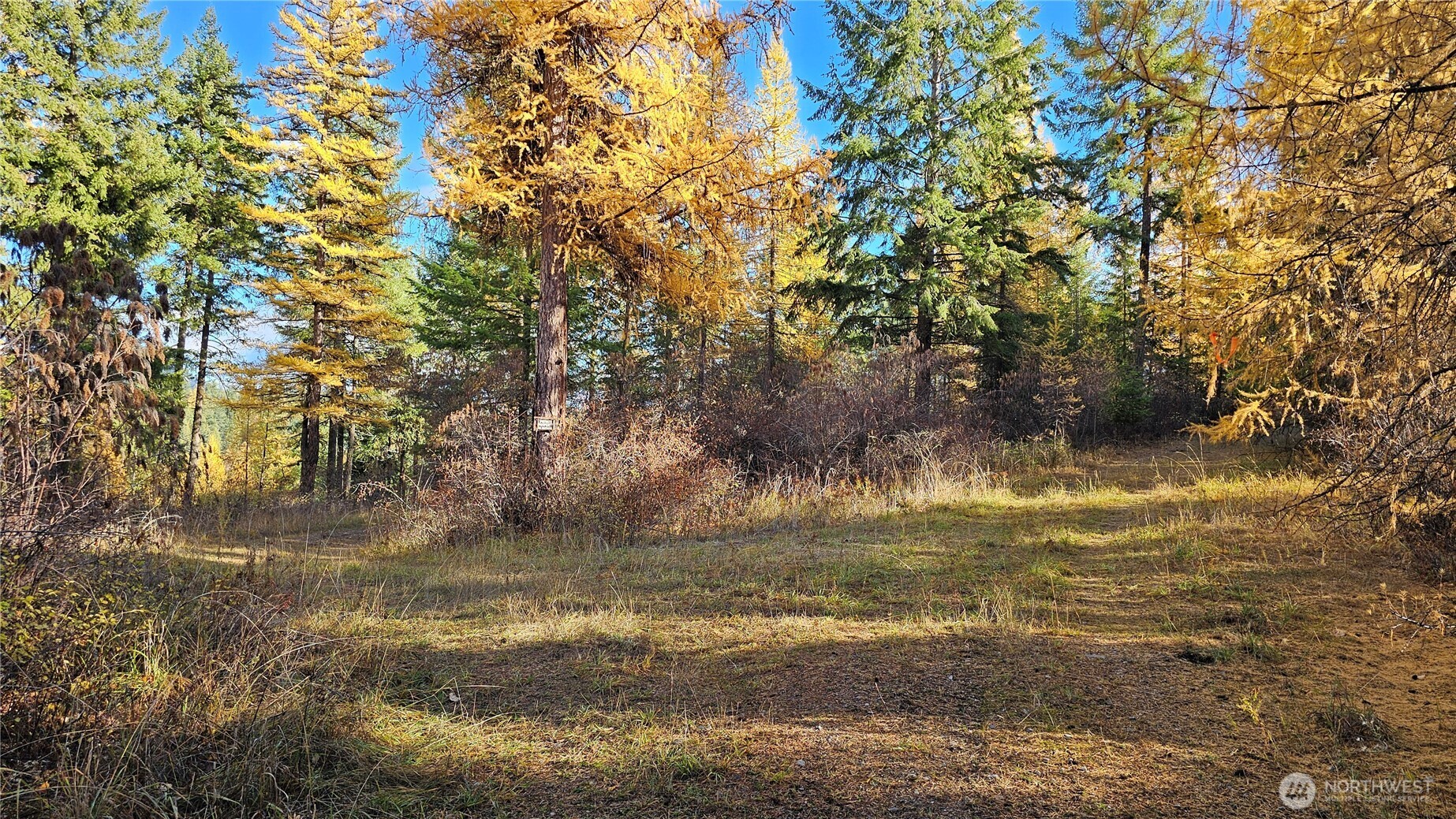 700 L Dry Gulch Road Colville, WA 99114 - Photo 5 of 17 a view of a lake view