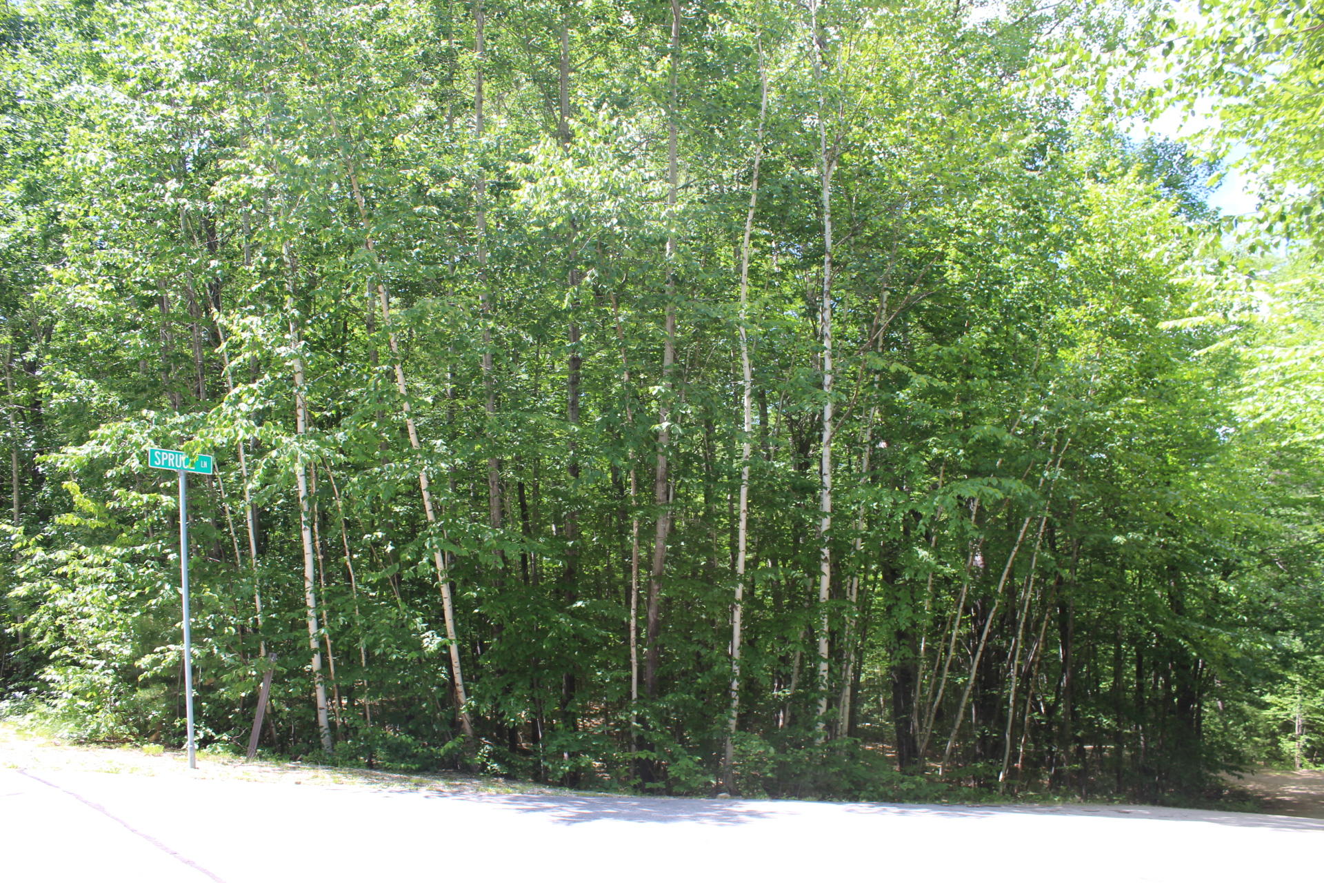 Lot 20 Rapputak Road Fryeburg, ME 04037 - Photo 22 of 37 e