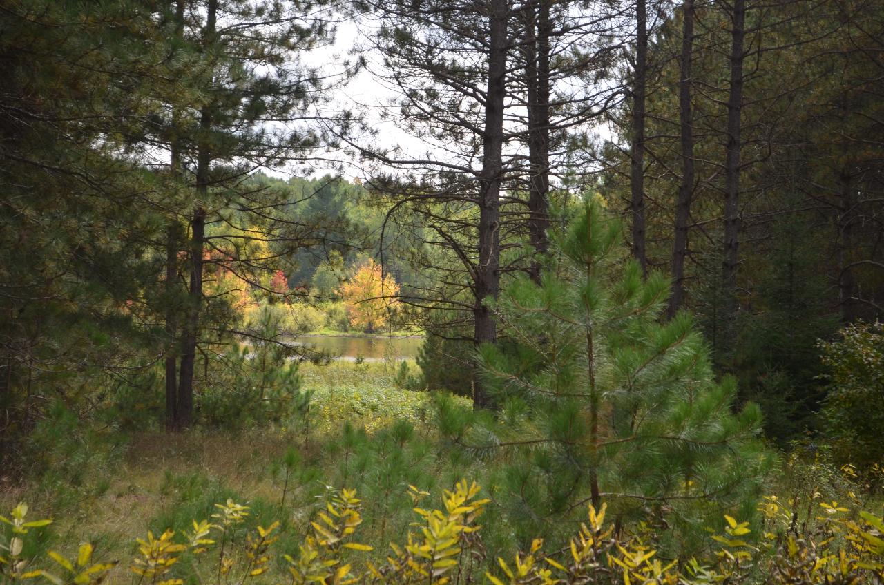 Parcel B Walleye Way Tomahawk, WI 54487 - Photo 23 of 25 Gallery Image 23