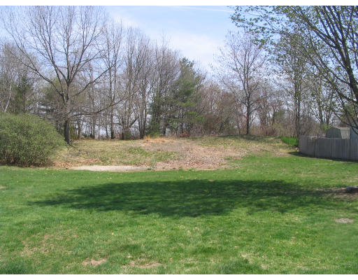 27 Chamberlain Road Chelmsford, MA 01824 - Photo 6 of 11 a view of dirt field with trees in the background