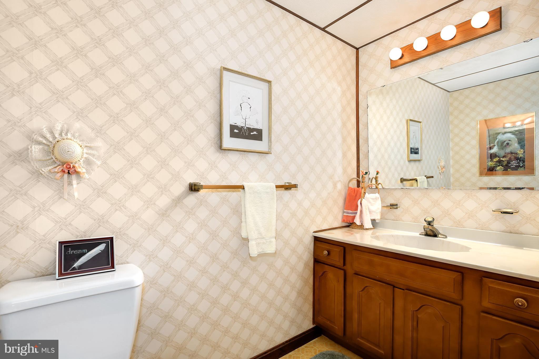 9007 Kilbride Road Baltimore, MD 21236 - Photo 18 of 30 a bathroom with a sink mirror vanity and toilet
