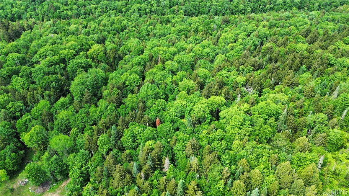 Lot 112 Rt-8 Cold Brook Cold Brook, NY 13324 - Photo 7 of 9