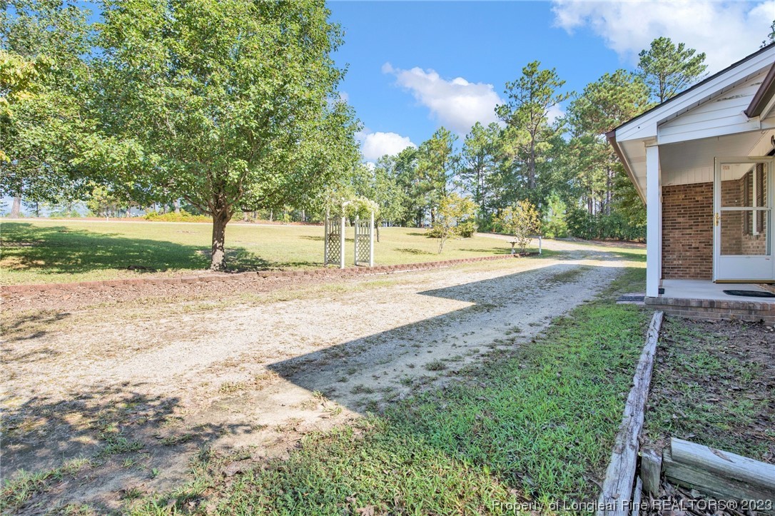 325 McIntosh Road Carthage, NC 28327 - Photo 29 of 30 a view of a yard with plants and trees