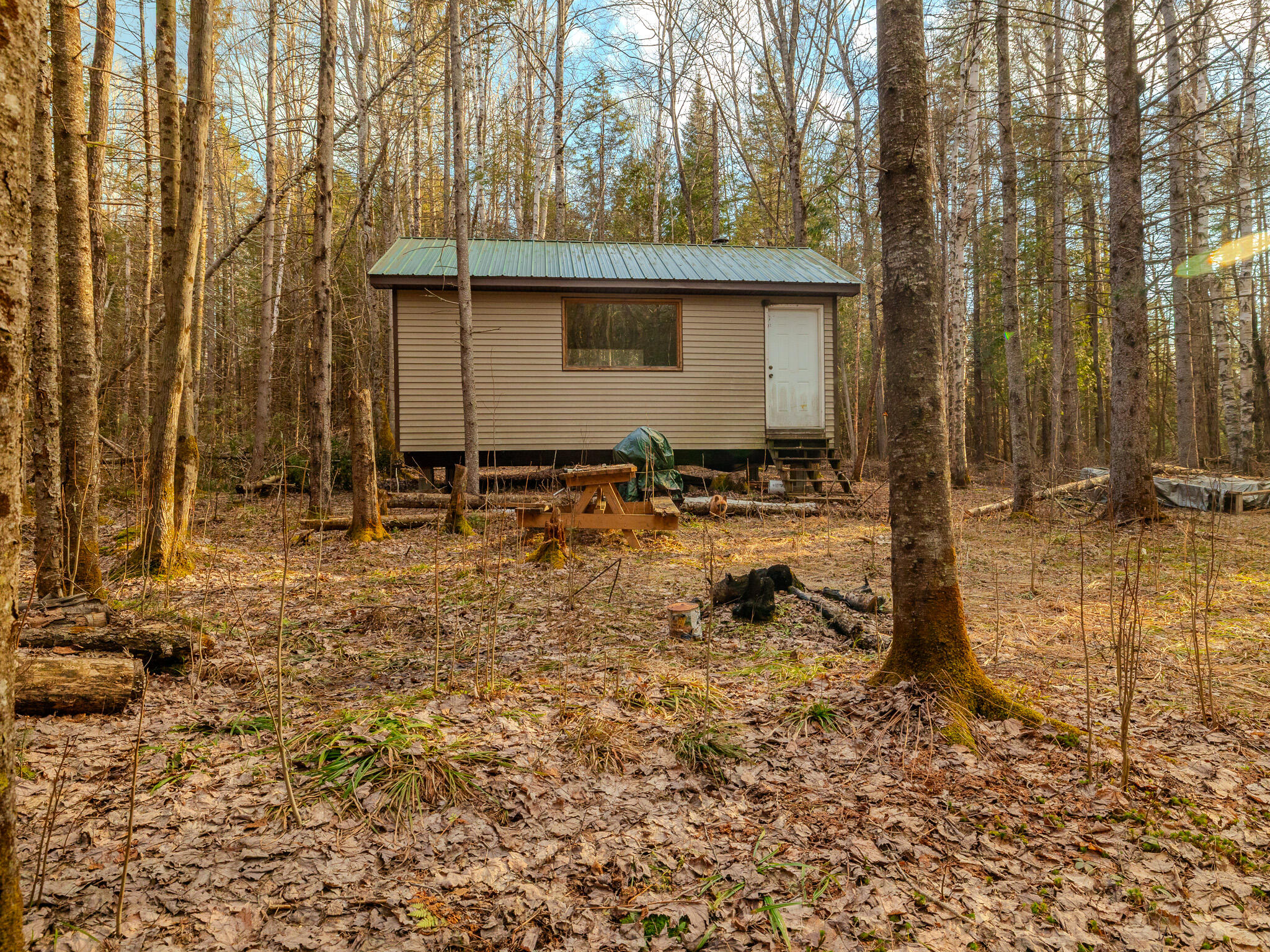 V/l Merwin Creek Road Gulliver, MI 49840 - Photo 10 of 22 048A9452