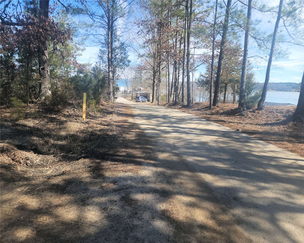 0 Bob White Drive Waterloo, SC 29384 - Photo 2 of 14