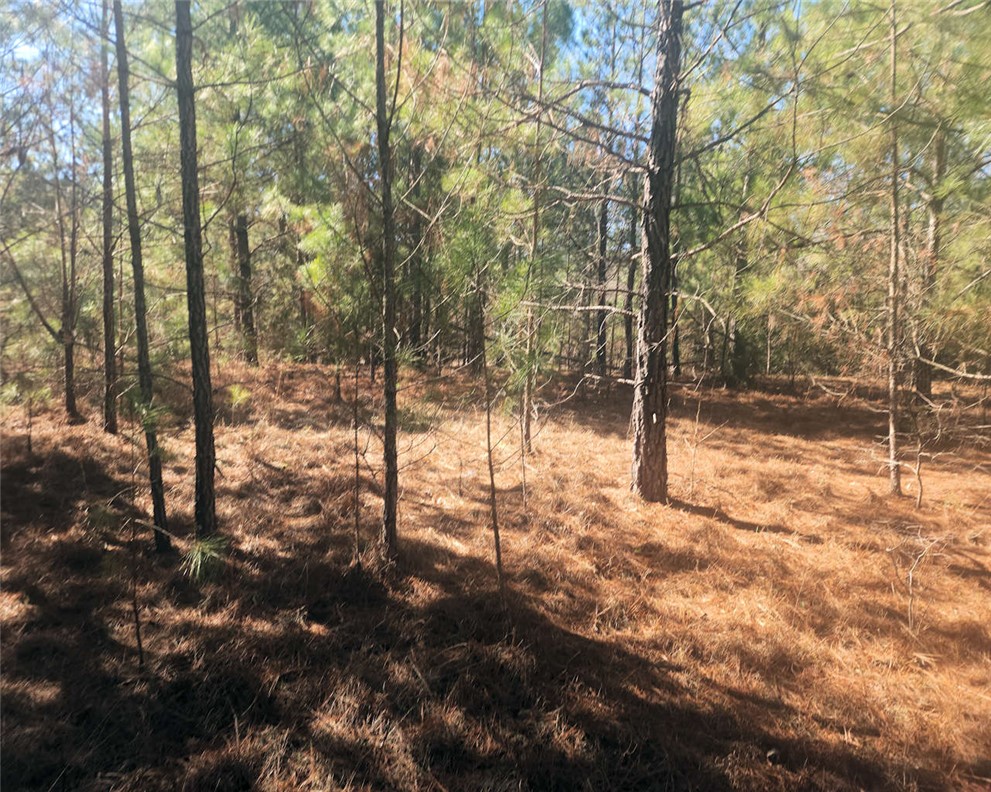 0 Bob White Drive Waterloo, SC 29384 - Photo 6 of 14